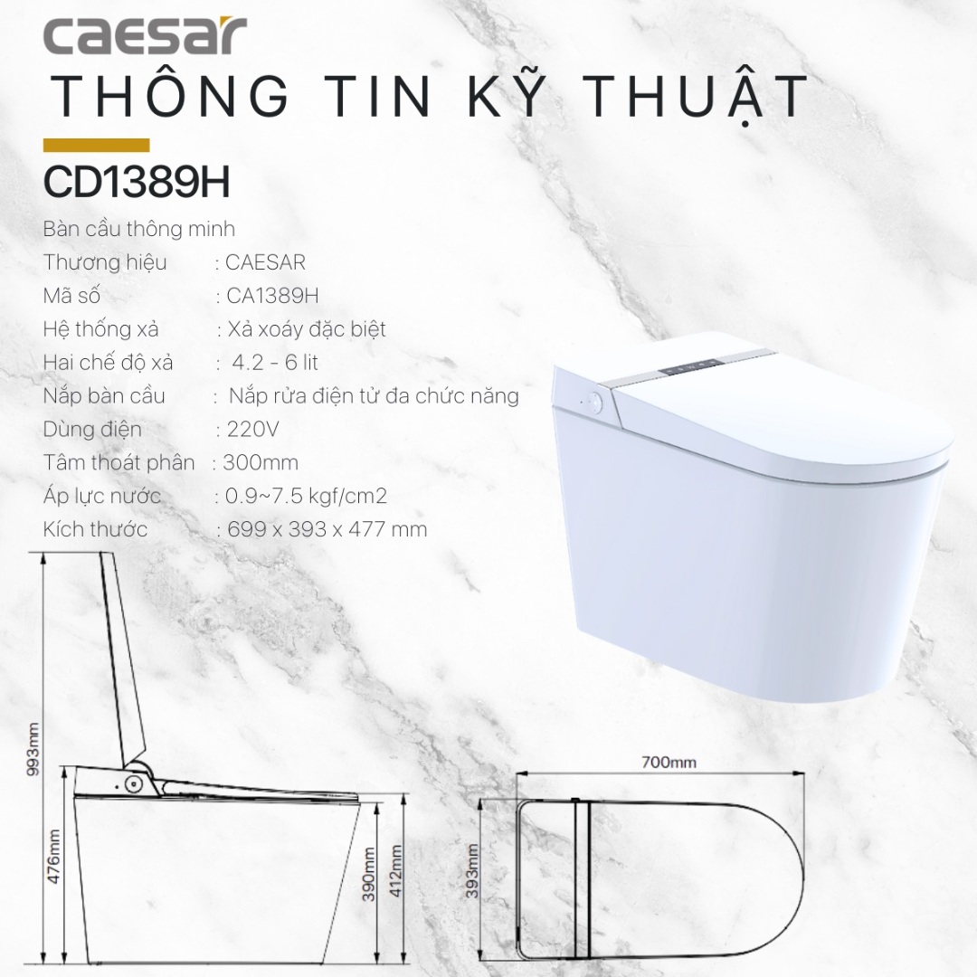 Bản vẽ kích thước bồn cầu Caesar C1389H