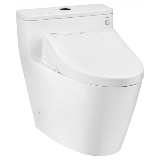 Bồn Cầu Điện Tử TOTO MS625CDW15 Washlet TCF24460AAA C5 Giấu Dây Bồn Cầu Vệ Sinh