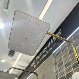 Sen Cây Nhiệt Độ American Standard WF-4956CS (WF4956CS) Màu Vàng