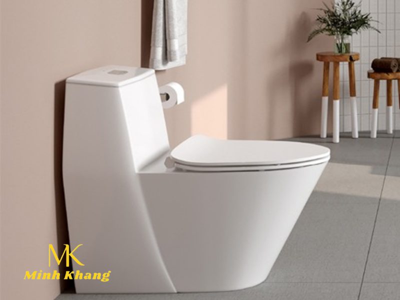 bệt vệ sinh inax AC-919VRN giá bao nhiêu 