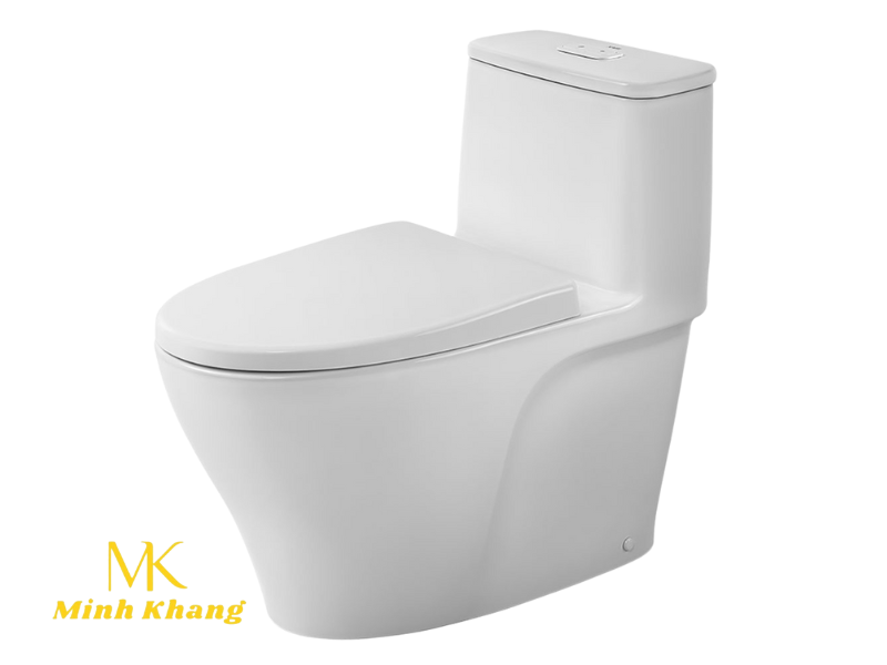 giá bệt Inax AC-919VRN cập nhật 2025